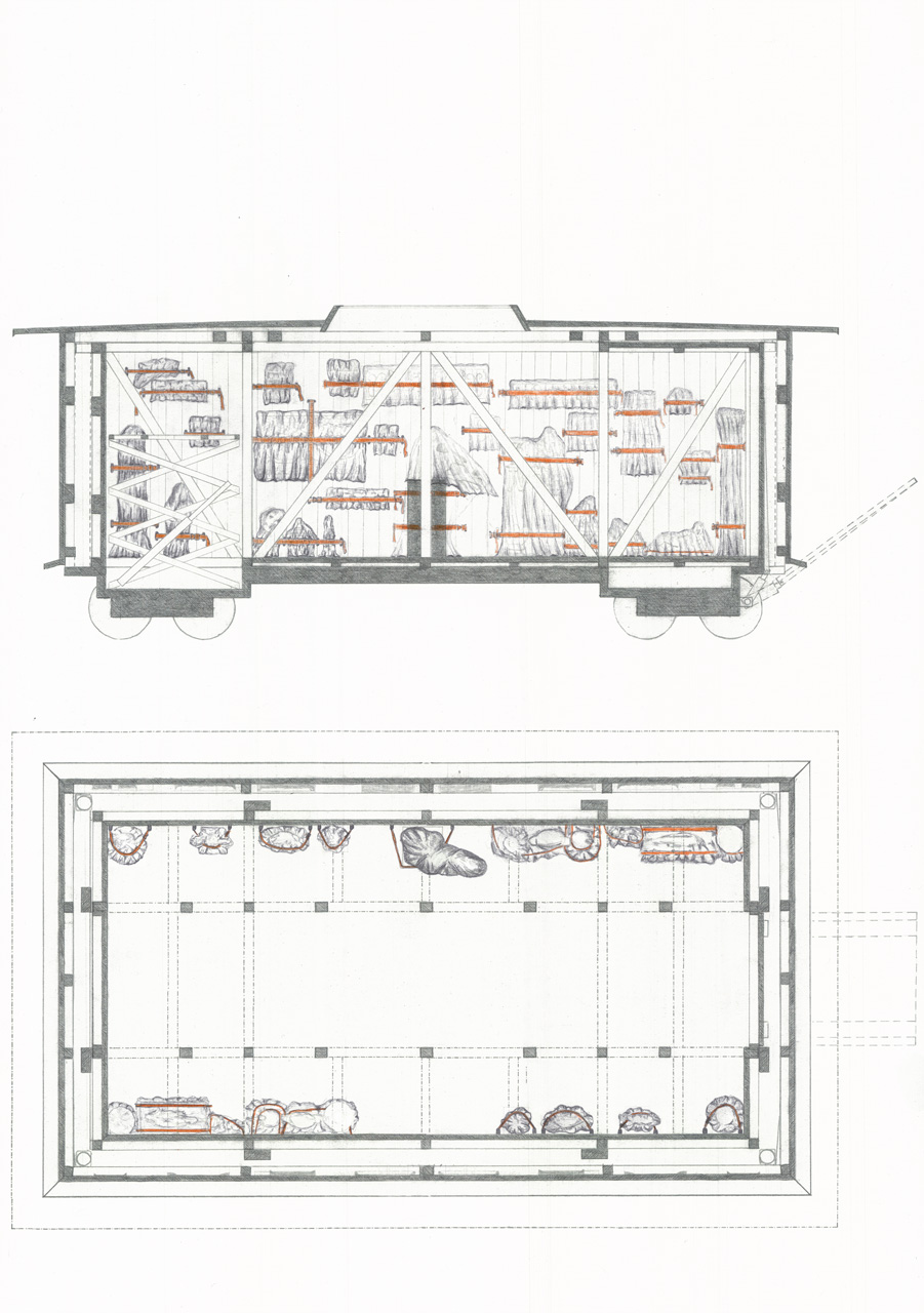 Floorplan & Section